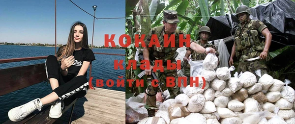 гашик Ивантеевка