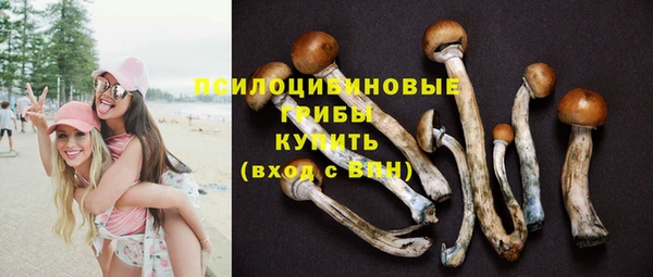 марки nbome Горняк
