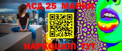 ПСИЛОЦИБИНОВЫЕ ГРИБЫ Аргун