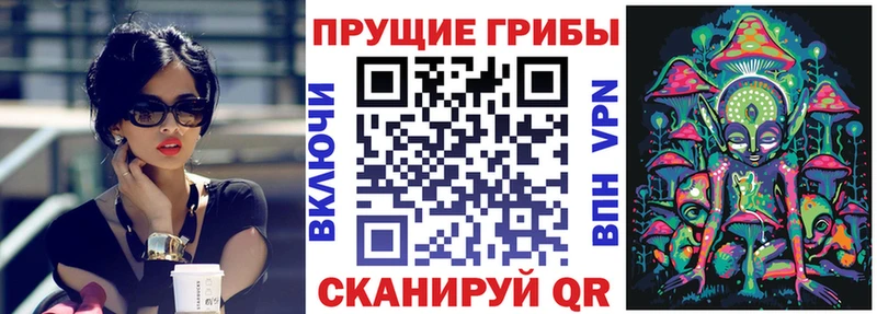 Галлюциногенные грибы Psilocybine cubensis  Нерюнгри 