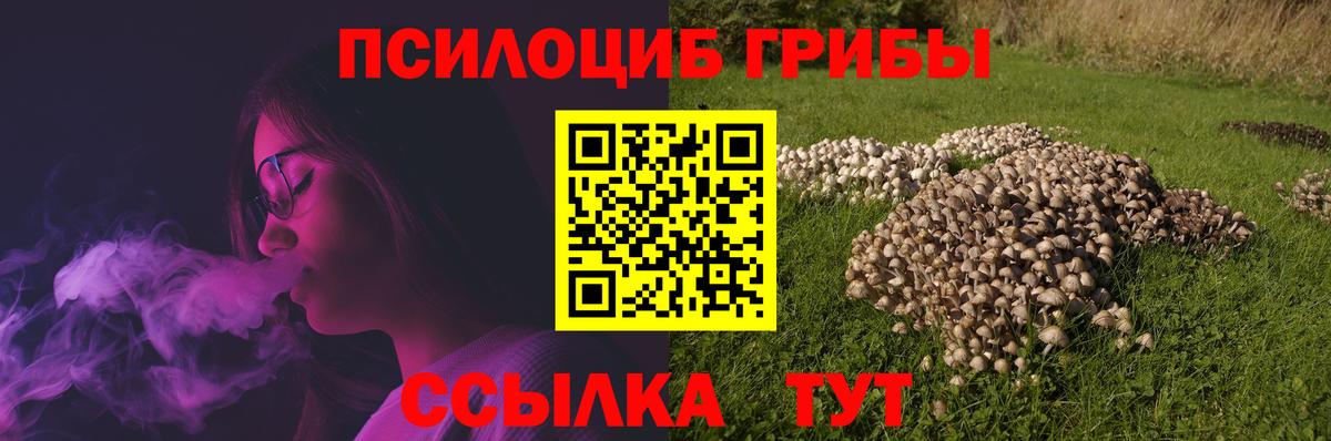 Галлюциногенные грибы прущие грибы  Вход с VPN  Псилоцибиновые грибы Magic Shrooms  Нерюнгри 